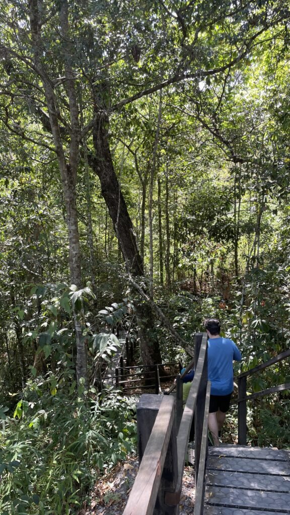 Trilha do Vale, na Reserva do Abade